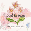 Soul Esencia-1